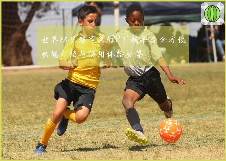 世界杯买球苹果APP下载平台全方位功能介绍与使用体验分享