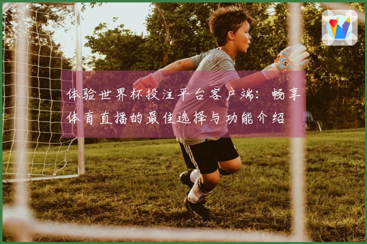 体验世界杯投注平台客户端：畅享体育直播的最佳选择与功能介绍